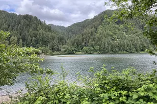 34376 State Hwy 38, Scottsburg, OR 97473 - Photo 36