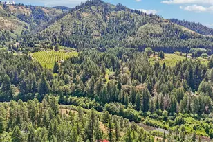 331 Lakeview Rd, White Salmon, WA 98672 - Photo 44