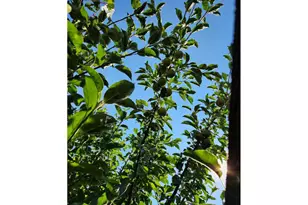 16391 Hwy 101, Brookings, OR 97415 - Photo 44