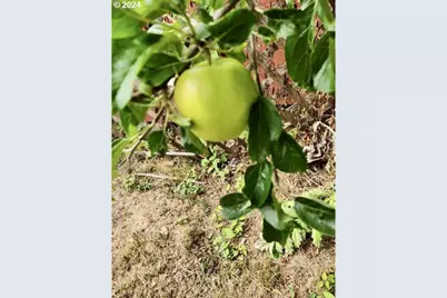 16391 Highway 101 #48, Brookings, OR 97415 - Photo 42