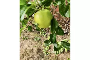 16391 Hwy 101, Brookings, OR 97415 - Photo 42