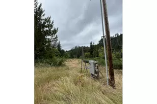 90100 Lake Creek Mountain Rd, Deadwood, OR 97430 - Photo 22