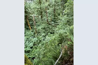 90100 Lake Creek Mountain Rd, Deadwood, OR 97430 - Photo 20