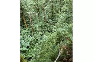 90100 Lake Creek Mountain Rd, Deadwood, OR 97430 - Photo 20