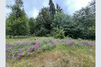 90100 Lake Creek Mountain Rd, Deadwood, OR 97430 - Photo 18