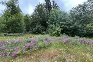 90100 Lake Creek Mountain Rd, Deadwood, OR 97430 - Photo 18