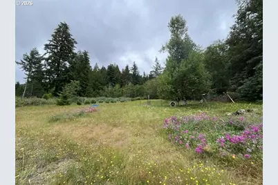 90100 Lake Creek Mountain Rd, Deadwood, OR 97430 - Photo 16