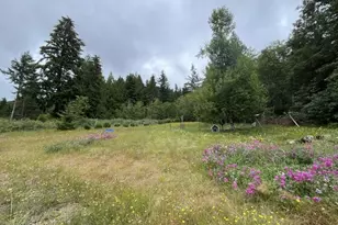 90100 Lake Creek Mountain Rd, Deadwood, OR 97430 - Photo 16
