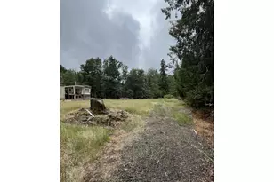 90100 Lake Creek Mountain Rd, Deadwood, OR 97430 - Photo 6