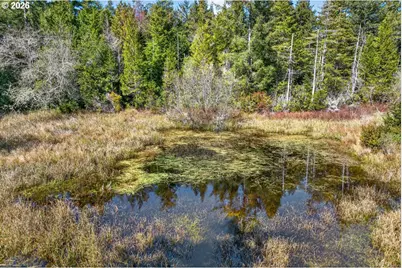 88190 Dew Valley Ln, Bandon, OR 97411 - Photo 30
