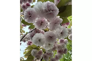 886 1st St SE, Bandon, OR 97411 - Photo 44