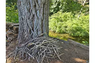 602 NE Blair Rd, Washougal, WA 98671 - Photo 38