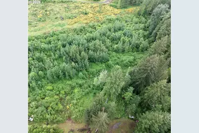 12155 Lewis River Rd, Ariel, WA 98603 - Photo 16