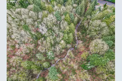Clackamas River Dr, Oregon City, OR 97045 - Photo 4
