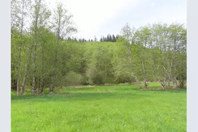 Hagen Rd, Mossyrock, WA 98564 - Photo 1