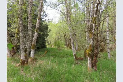 Hagen Rd, Mossyrock, WA 98564 - Photo 10