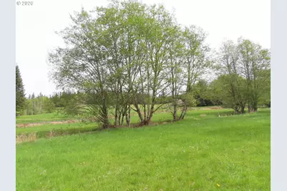 Hagen Rd, Mossyrock, WA 98564 - Photo 26