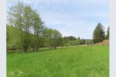 Hagen Rd, Mossyrock, WA 98564 - Photo 18