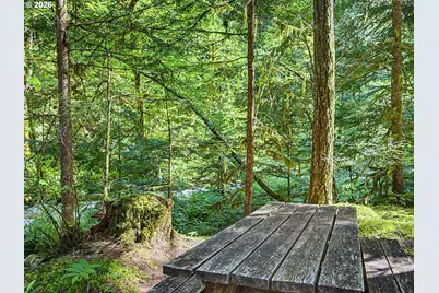 79635 E Rd 35 Lot 155, Rhododendron, OR 97049 - Photo 40