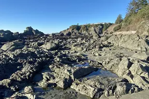 270 Allen Ln, Brookings, OR 97415 - Photo 42