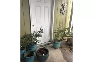 1699 N Terry St, Eugene, OR 97402 - Photo 20