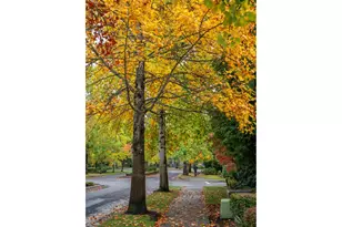 1179 SE Leander St, Hillsboro, OR 97123 - Photo 36