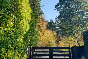 3724 SW Shattuck Rd, Portland, OR 97221 - Photo 42