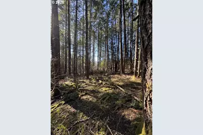 0 Hall Rd, Cheshire, OR 97419 - Photo 6