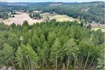 0 Hall Rd, Cheshire, OR 97419 - Photo 16