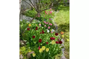 605 M Ave, La Grande, OR 97850 - Photo 28