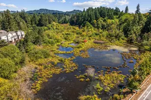 806 NW 118th Ave, Portland, OR 97229 - Photo 46