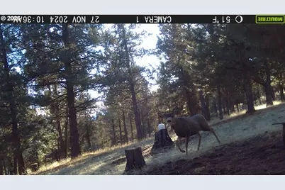 31367 Clarks Creek Rd, Mount Vernon, OR 97865 - Photo 6