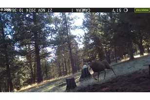 31367 Clarks Creek Rd, Mount Vernon, OR 97865 - Photo 6