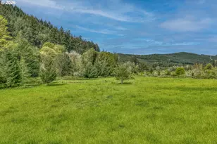 99554 Lone Pine Ln, Myrtle Point, OR 97458 - Photo 36
