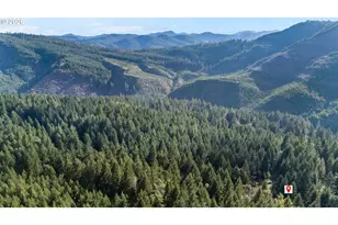 270 Kingsway Ln, Camas Valley, OR 97416 - Photo 32