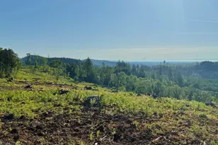 11880 Dupee Valley Rd, McMinnville, OR 97128 - Photo 42