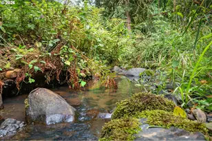 16900 SW McFee Pl, Hillsboro, OR 97123 - Photo 46