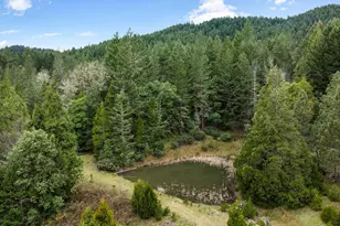 778 Pack Ln, Glendale, OR 97442 - Photo 42