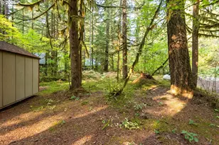 Cabin 177 Northwoods, Cougar, WA 98616 - Photo 22