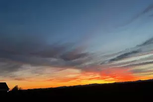 1429 Gladiola Dr, Junction City, OR 97448 - Photo 38