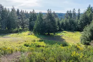 62361 Olive Barber Rd, Coos Bay, OR 97420 - Photo 6