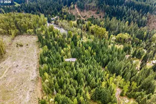 81 Wind Crest Rd, Carson, WA 98610 - Photo 4
