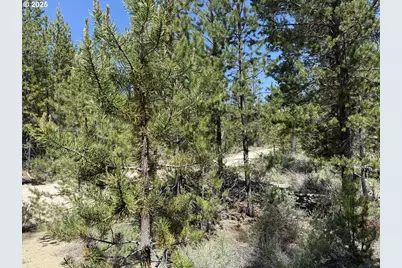 Off Nf 9768 #TL 300, Crescent, OR 97733 - Photo 8