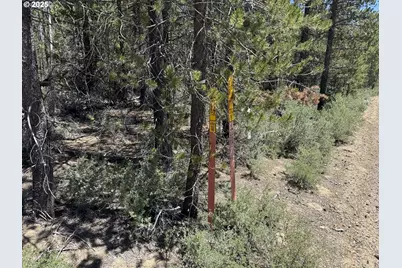 Off Nf 9768 #TL 300, Crescent, OR 97733 - Photo 32