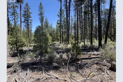 Off Nf 9768 #TL 300, Crescent, OR 97733 - Photo 20