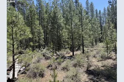 Off Nf 9768 #TL 300, Crescent, OR 97733 - Photo 28