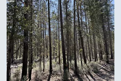 Off Nf 9768 #TL 300, Crescent, OR 97733 - Photo 2