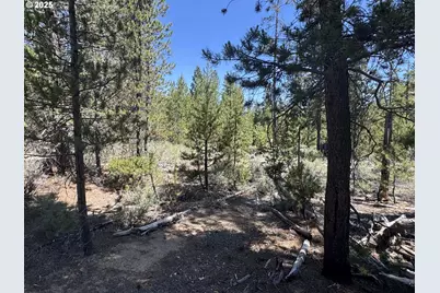 Off Nf 9768 #TL 300, Crescent, OR 97733 - Photo 18