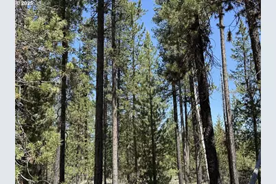 Off Nf 9768 #TL 300, Crescent, OR 97733 - Photo 16