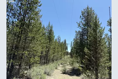 Off Nf 9768 #TL 300, Crescent, OR 97733 - Photo 10